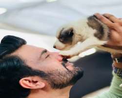 He is a dog lover and always shows his kind behavior towards them.